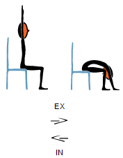 FlexionAvantChaise