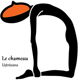 chameau