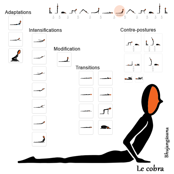 CobraIllustration