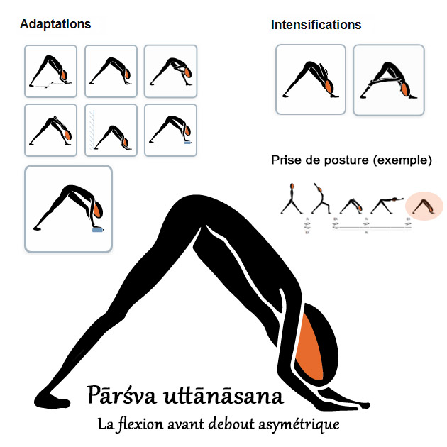 Parsva uttanasana - Flexion avant debout asymétrique