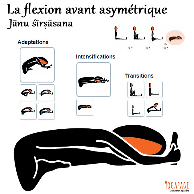 Janu sirsasana - Flexion avant assise asymétrique