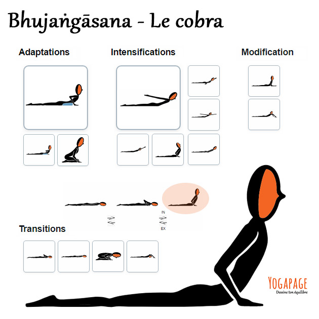 Bhujangasana - Le cobra