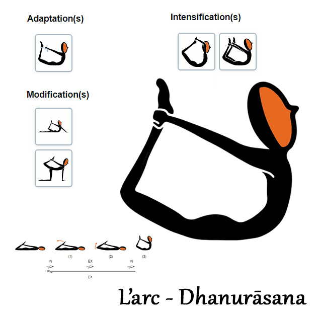 Dhanurasana - Posture de l'arc