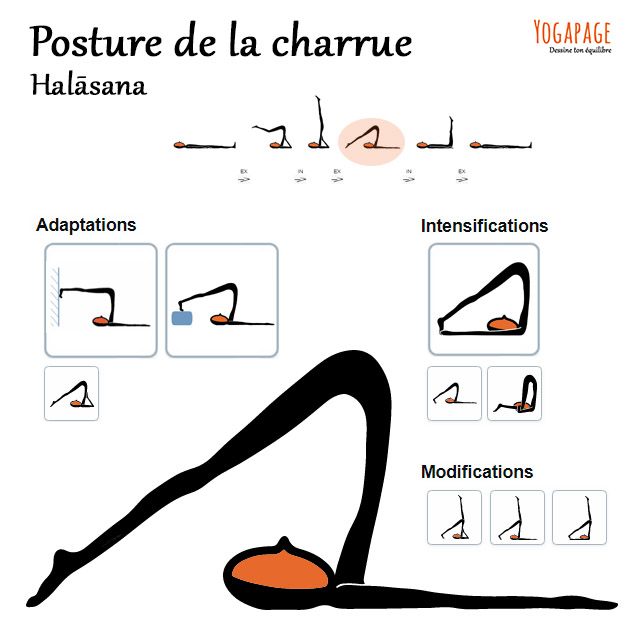 Halasana - La charrue