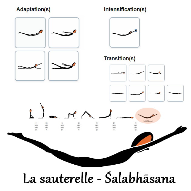 salabhasana - la sauterelle