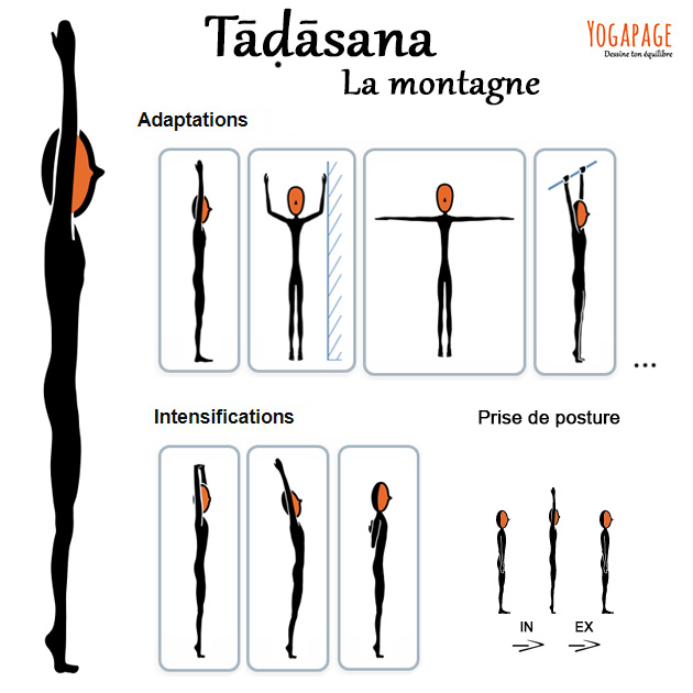 Tadasana - La posture de la montagne