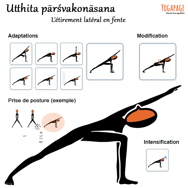Utthita parsvakonasana - L'étirement latéral en fente ou l'angle de côté étiré