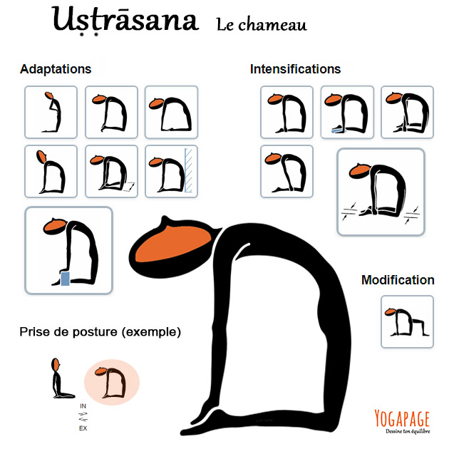 Ustrasana - L'arc