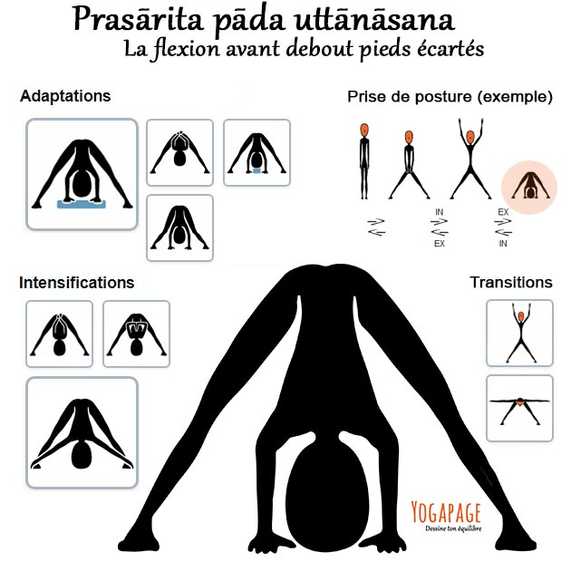 Prasarita padottanasana - Flexion avant debout pieds écartés