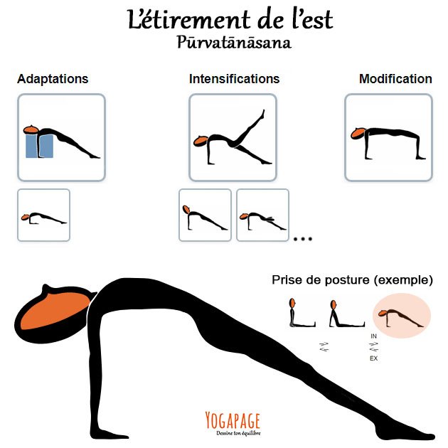 Purvatanasana - L'étirement de l'est