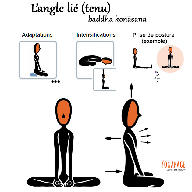 Baddha konasana - L'angle lié