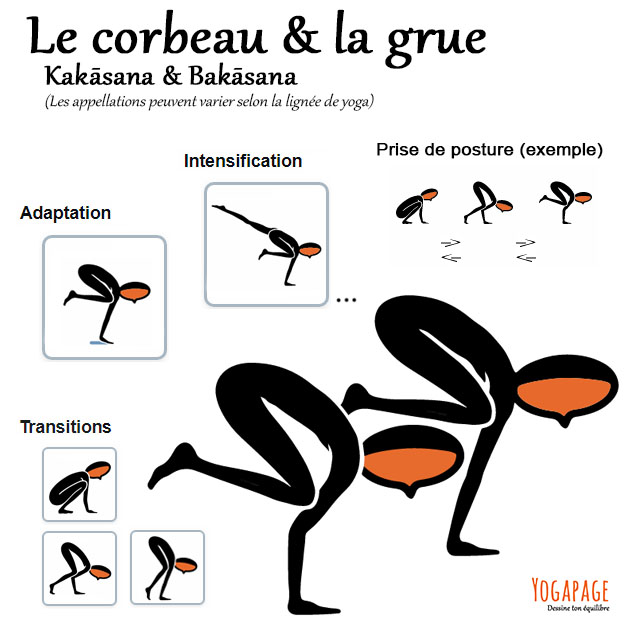 Kakasana et bakasana - Le corbeau et la grue